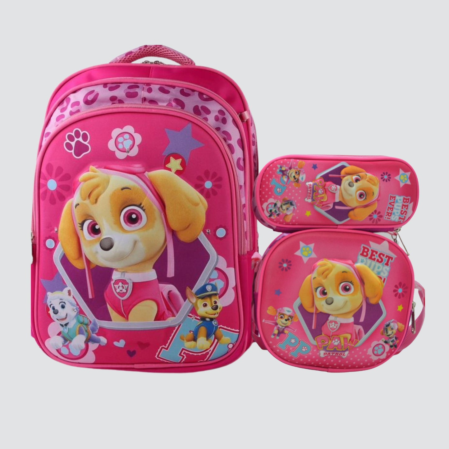 XW1610 Paw Patrol Lighting Backpack Set
